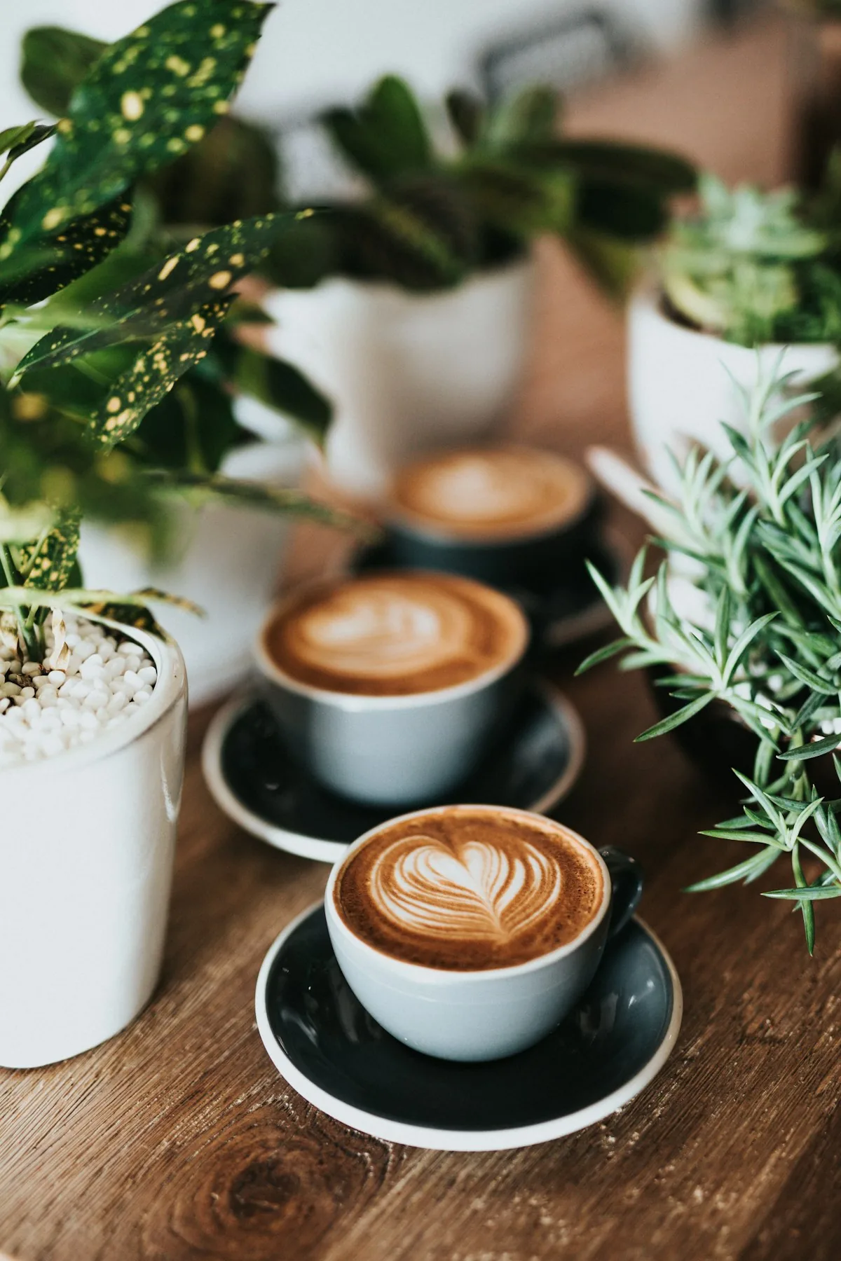 Servicio Chemex
